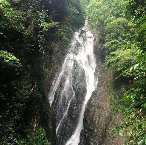 盤龍峽|德慶盤龍峽生態旅遊區旅遊攻略簡介2024